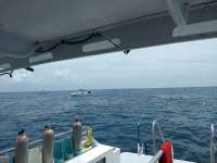 Great day of scuba diving in Key Largo with Rainbow Reef on molasses reef tropical adventure 2018 06 17 r6225 1