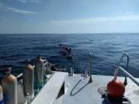 Great day of scuba diving in Key Largo with Rainbow Reef on molasses reef tropical adventure 2018 06 28 r6347 1