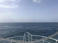 Great day of scuba diving in Key Largo with Rainbow Reef on molasses reef tropical legend 2018 06 16 r6207 1