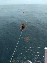 Great day of scuba diving in Key Largo with Rainbow Reef on molasses reef tropical odyssey 2018 06 14 r6184 1