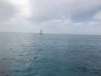Great day of scuba diving in Key Largo with Rainbow Reef on molasses reef tropical odyssey 2018 06 16 r6212 1