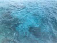 Great day of scuba diving in Key Largo with Rainbow Reef on molasses reef tropical odyssey 2018 06 16 r6212 2