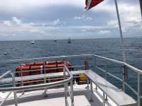 Great day of scuba diving in Key Largo with Rainbow Reef on molasses reef tropical serenity 2018 06 18 r6238 1