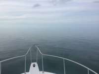 Great day of scuba diving in Key Largo with Rainbow Reef on molasses reef tropical serenity 2018 06 20 r6253 1