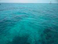 Great day of scuba diving in Key Largo with Rainbow Reef on molasses reef tropical voyager 2018 06 16 r6204 1