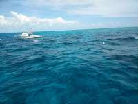 Great day of scuba diving in Key Largo with Rainbow Reef on molasses reef tropical voyager 2018 06 25 r6315 1