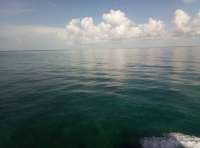 Great day of scuba diving in Key Largo with Rainbow Reef on molasses reef tropical voyager 2018 06 28 r6341 1