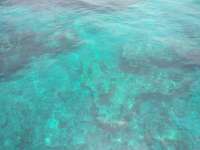 Great day of scuba diving in Key Largo with Rainbow Reef on molasses reef tropical voyager 2018 06 29 r6359 1