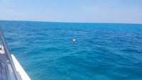Great day of scuba diving in Key Largo with Rainbow Reef on north dry rocks tropical destiny 2018 06 21 r6268 1
