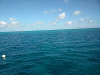 Great day of scuba diving in Key Largo with Rainbow Reef on north star tropical voyager 2018 06 04 r6067 1