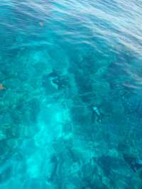 Great day of scuba diving in Key Largo with Rainbow Reef on north star tropical voyager 2018 06 15 r6195 1