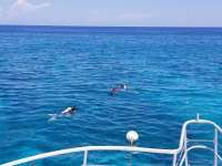 Great day of scuba diving in Key Largo with Rainbow Reef on pickles reef tropical legend 2018 06 29 r6357 1