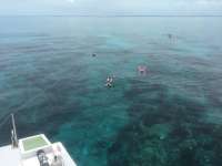 Great day of scuba diving in Key Largo with Rainbow Reef on pickles reef tropical odyssey 2018 06 19 r6248 2