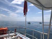 Great day of scuba diving in Key Largo with Rainbow Reef on sand island tropical legend 2018 06 24 r6304 1