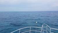 Great day of scuba diving in Key Largo with Rainbow Reef on snapper ledge tropical legend 2018 06 17 r6226 1
