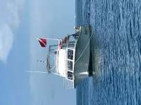 Great day of scuba diving in Key Largo with Rainbow Reef on snapper ledge tropical legend 2018 06 28 r6349 1