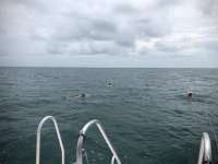 Great day of scuba diving in Key Largo with Rainbow Reef on snapper ledge tropical serenity 2018 06 10 r6139 1