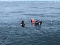 Great day of scuba diving in Key Largo with Rainbow Reef on snapper ledge tropical serenity 2018 06 12 r6149 1