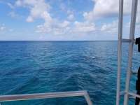 Great day of scuba diving in Key Largo with Rainbow Reef on snapper ledge tropical serenity 2018 06 26 r6319 1