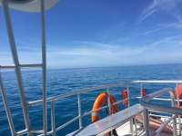 Great day of scuba diving in Key Largo with Rainbow Reef on spanish anchor tropical legend 2018 06 02 r6042 1