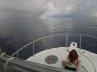 Great day of scuba diving in Key Largo with Rainbow Reef on spiegel grove tropical destiny 2018 06 11 r6147 1