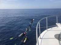 Great day of scuba diving in Key Largo with Rainbow Reef on spiegel grove tropical destiny 2018 06 17 r6223 1