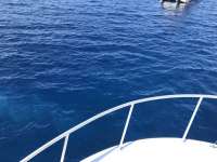 Great day of scuba diving in Key Largo with Rainbow Reef on spiegel grove tropical destiny 2018 06 22 r6275 1
