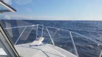 Great day of scuba diving in Key Largo with Rainbow Reef on spiegel grove tropical explorer 2018 06 05 r6086 1