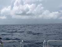 Great day of scuba diving in Key Largo with Rainbow Reef on spiegel grove tropical explorer 2018 06 09 r6130 1