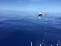 Great day of scuba diving in Key Largo with Rainbow Reef on spiegel grove tropical odyssey 2018 06 02 r6039 1