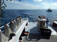 Great day of scuba diving in Key Largo with Rainbow Reef on spiegel grove tropical odyssey 2018 06 03 r6055 1