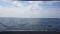 Great day of scuba diving in Key Largo with Rainbow Reef on spiegel grove tropical odyssey 2018 06 08 r6111 1