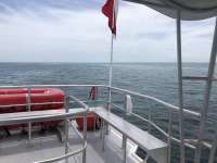 Great day of scuba diving in Key Largo with Rainbow Reef on the horseshoe tropical odyssey 2018 06 17 r6227 1
