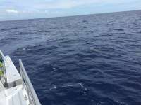 Great day of scuba diving in Key Largo with Rainbow Reef on uscgc bibb tropical adventure 2018 06 01 r6026 1