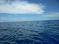 Great day of scuba diving in Key Largo with Rainbow Reef on uscgc bibb tropical explorer 2018 06 30 r6372 1