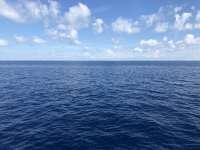 Great day of scuba diving in Key Largo with Rainbow Reef on uscgc duane tropical odyssey 2018 06 22 r6276 1