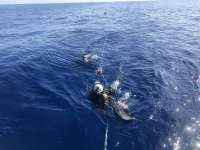 Great day of scuba diving in Key Largo with Rainbow Reef on uscgc duane tropical odyssey 2018 06 29 r6355 1