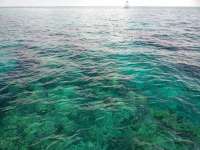 Great day of scuba diving in Key Largo with Rainbow Reef on winch hole tropical legend 2018 06 06 r6096 1
