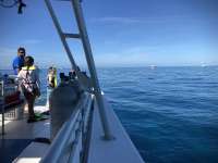 Great day of scuba diving in Key Largo with Rainbow Reef on winch hole tropical serenity 2018 06 02 r6035 1