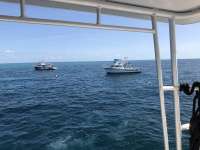 Great day of scuba diving in Key Largo with Rainbow Reef on winch hole tropical serenity 2018 06 27 r6330 1