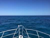 Great day of scuba diving in Key Largo with Rainbow Reef on benwood wreck tropical adventure 2018 03 05 r5522 1