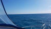 Great day of scuba diving in Key Largo with Rainbow Reef on benwood wreck tropical adventure 2018 03 24 r5665 1