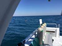 Great day of scuba diving in Key Largo with Rainbow Reef on benwood wreck tropical explorer 2018 03 22 r5652 1