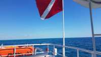 Great day of scuba diving in Key Largo with Rainbow Reef on benwood wreck tropical legend 2018 03 25 r5677 1
