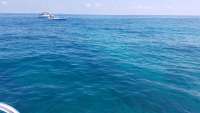 Great day of scuba diving in Key Largo with Rainbow Reef on benwood wreck tropical voyager 2018 03 18 r5625 1