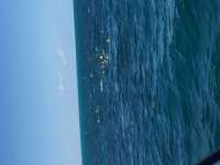 Great day of scuba diving in Key Largo with Rainbow Reef on christ statue tropical adventure 2018 03 04 r5512 1