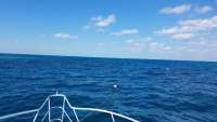 Great day of scuba diving in Key Largo with Rainbow Reef on christ statue tropical adventure 2018 03 09 r5554 1