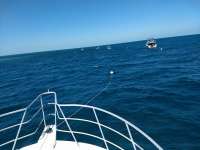 Great day of scuba diving in Key Largo with Rainbow Reef on christ statue tropical adventure 2018 03 23 r5661 1