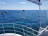 Great day of scuba diving in Key Largo with Rainbow Reef on christ statue tropical odyssey 2018 03 25 r5678 1