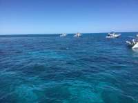 Great day of scuba diving in Key Largo with Rainbow Reef on christ statue tropical voyager 2018 03 16 r5609 1